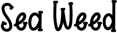 Sea Weed Font