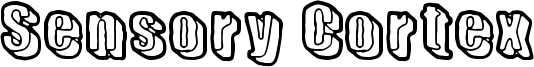 Sensory Cortex Font
