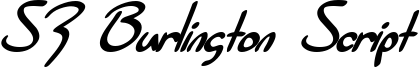 SF Burlington Script Bold Italic.ttf