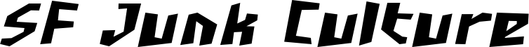 SF Junk Culture Bold Oblique.ttf