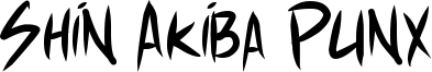 Shin Akiba Punx Font