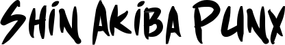 shinAkibapunx_bold.ttf