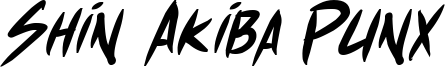 shinAkibapunx_bolital.ttf