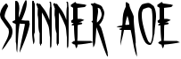 Skinner AOE Font