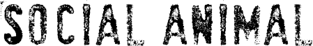 SociaL AnimaL Font