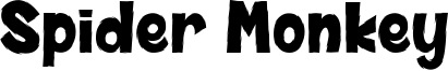 Spider Monkey Font