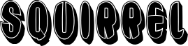 Squirrel Font