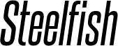 steelfish rg it.ttf