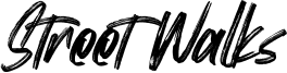 Street Walks Font