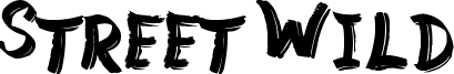 Street Wild Font
