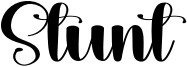 Stunt Font