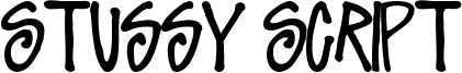 Stussy Script Font