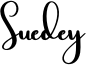 Suedey Font