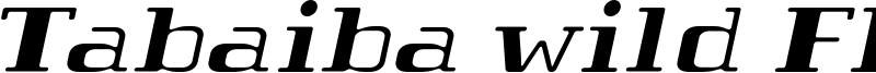 Tabaiba-wild-italic-personal-use.otf