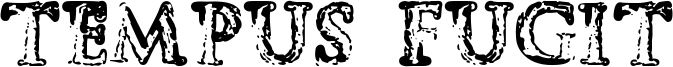 Tempus Fugit Font