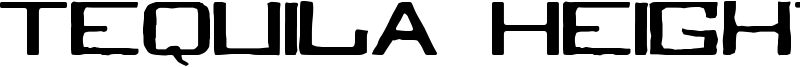 Tequila Heights Sobria Borracha Font