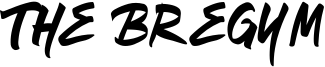 The Bregym Font