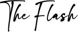 The Flash Font