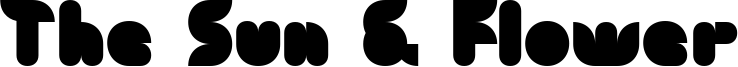 The Sun & Flower Font