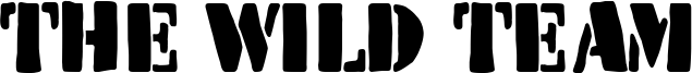 The Wild Team Font