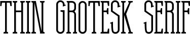Thin Grotesk Serif Font
