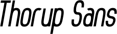 Thorup Sans Bold Italic.ttf