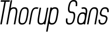 Thorup Sans Italic.ttf