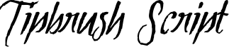 Tipbrush1_Slanted.ttf