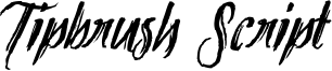 Tipbrush2_Slanted.ttf