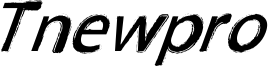 TNEWPRO NormalItalic.ttf