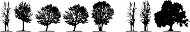 Trees TFB Font