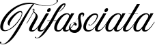 Trifasciata Font