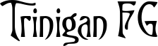 Trinigan FG Font