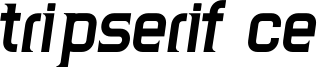 TripSerifCE_BoldItalic.ttf