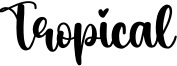 Tropical Font