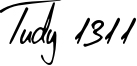 Tudy 1311 Font