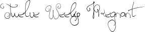 Twelve Weeks Pregnant Font