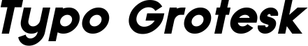 Typo Grotesk Black Italic Demo.otf