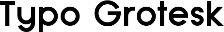Typo Grotesk Bold Demo.otf