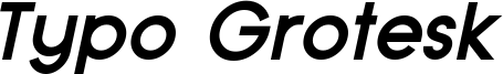 Typo Grotesk Bold Italic Demo.otf