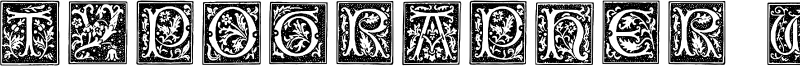 Typographer Woodcut Initials One Font