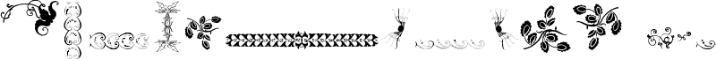 Unpublished Ornaments Two Font