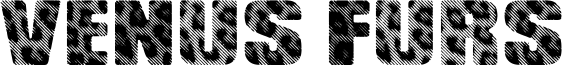 Venus Furs Font