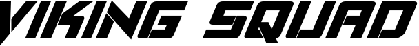 vikingsquadboldital.ttf