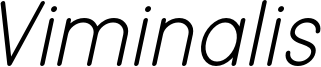 Viminalis Italic.otf