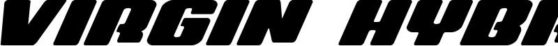 virginhybridexpand.ttf