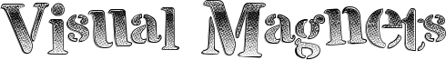 Visual Magnets Font