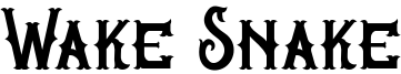 Wake Snake Font