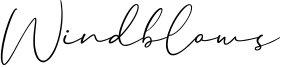 Windblows Font