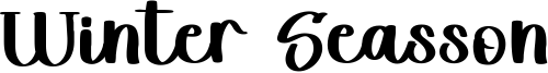 Winter Seasson Font